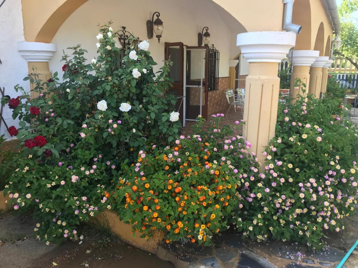 Finca La Rosalia Setenil De Las Bodegas Экстерьер фото